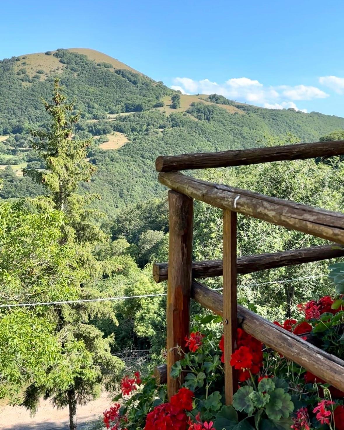 Agriturismo Pettino Campello sul Clitunno Ngoại thất bức ảnh