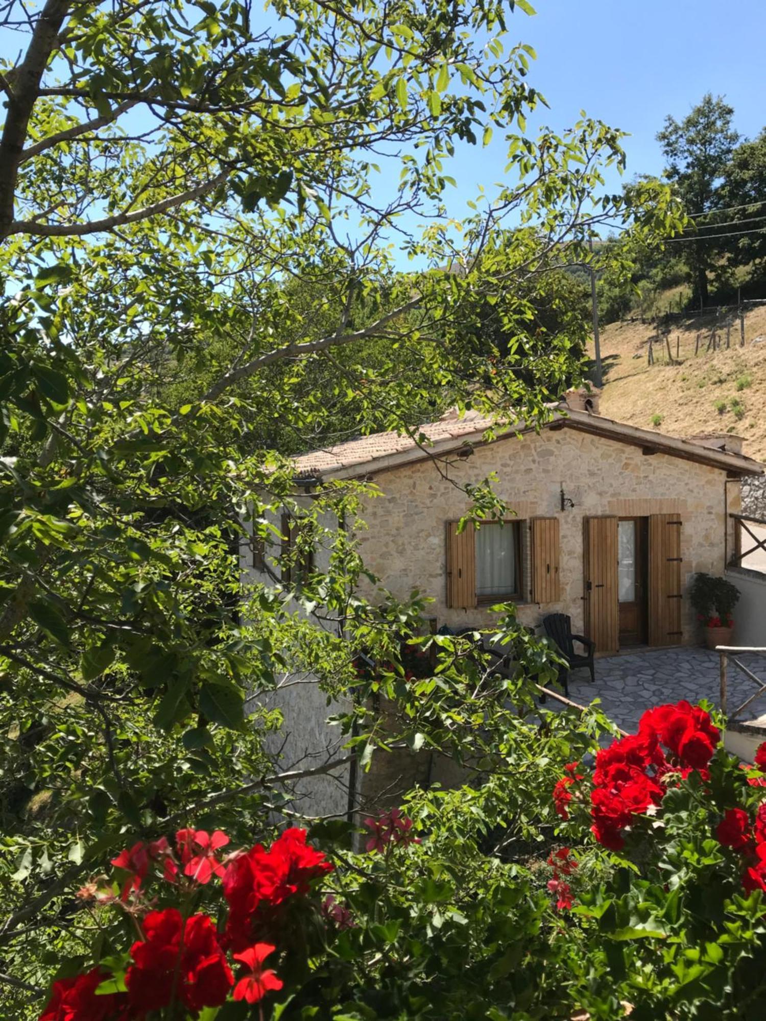 Agriturismo Pettino Campello sul Clitunno Ngoại thất bức ảnh